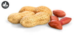 Peanuts