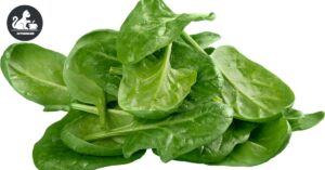 spinach